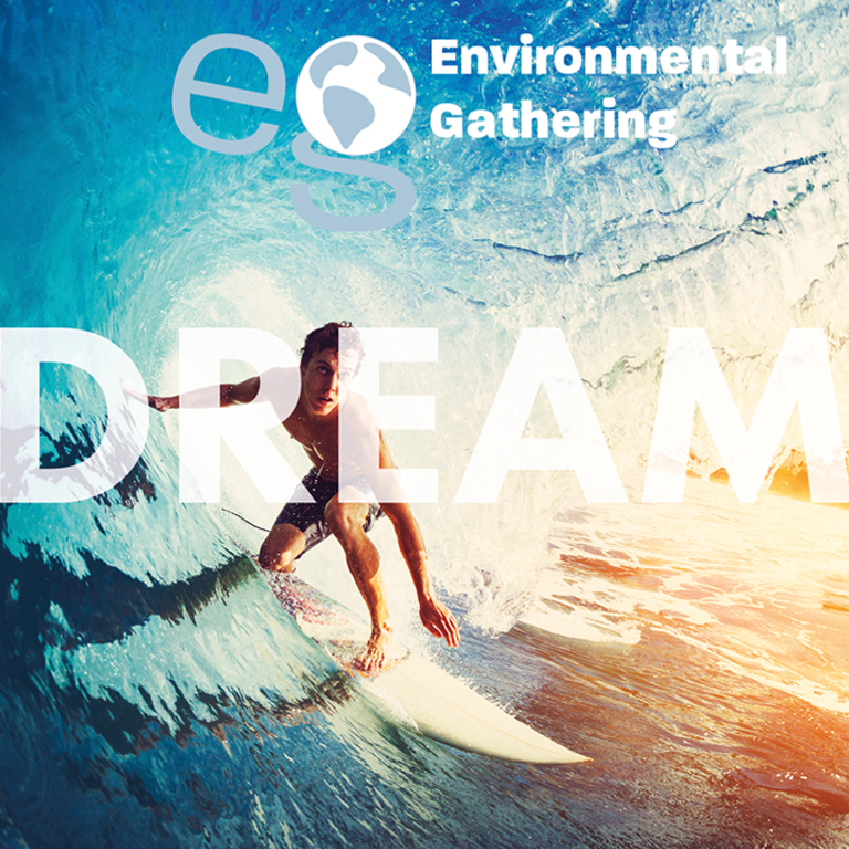 Environmental Conference Poster